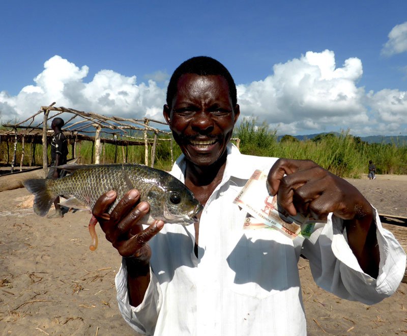 fish-conservation-success-ripple-africa-malawi fish-conservation-success-ripple-africa-malawi